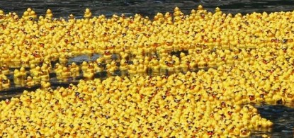 paws across the water