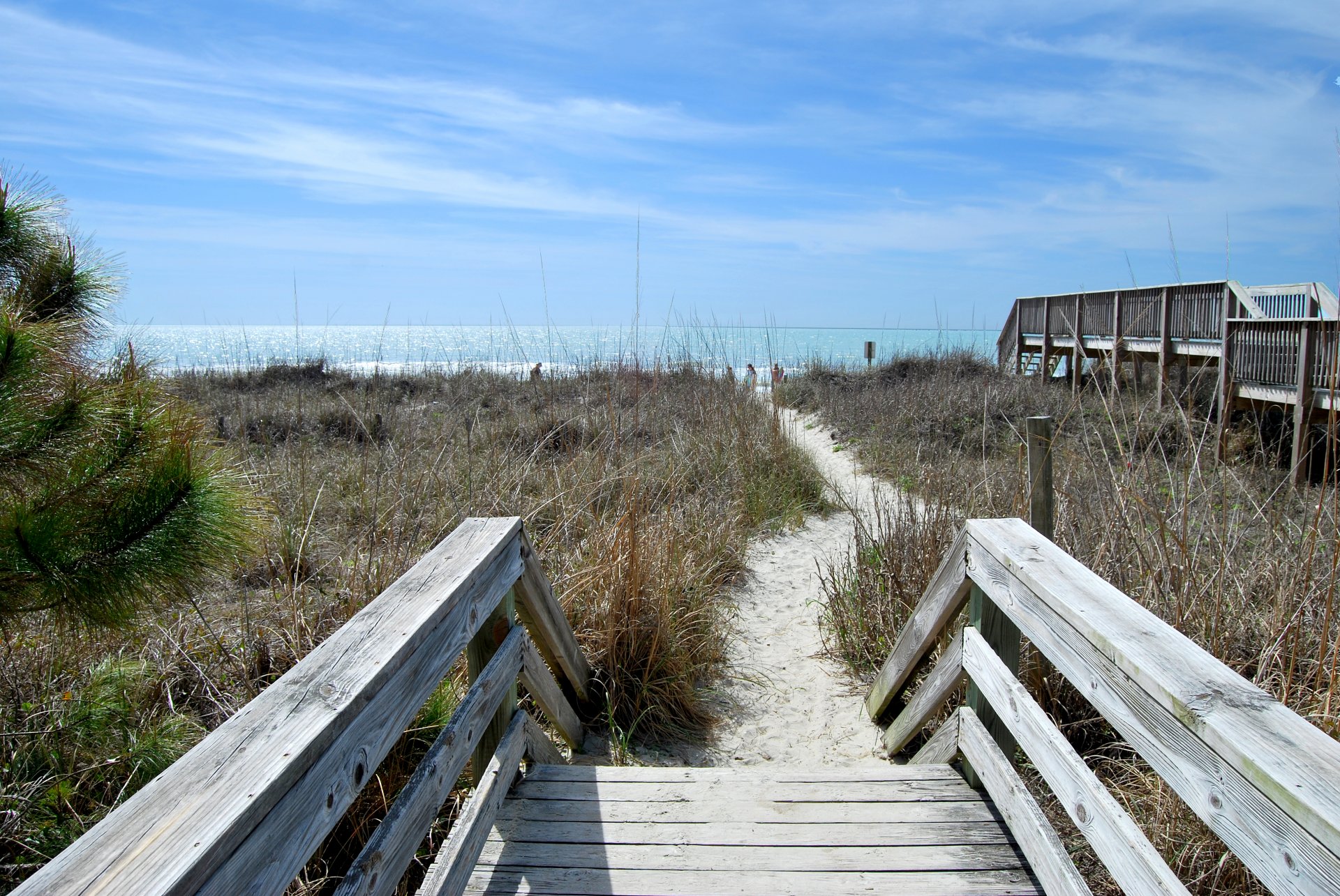 Carolina reef north myrtle beach