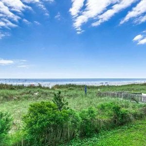 Coastal Dunes View