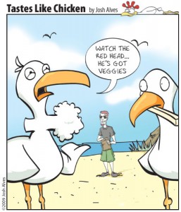 Sea Gull Cartoon