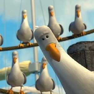 Yea? Seagulls.