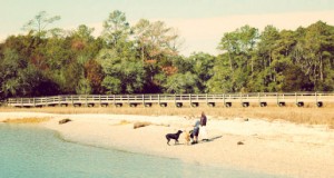 Family Walk