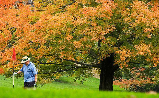 Golf in the Fall