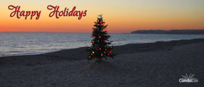 Christmas Tree on beach