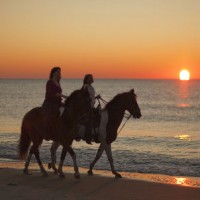 horseback riding on the beach
