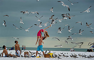 Feeding the Seagulls