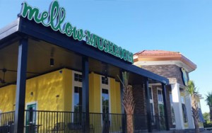 Mellow Mushroom in North Myrtle Beach