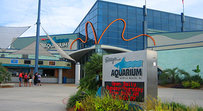 Ripley's Aquarium