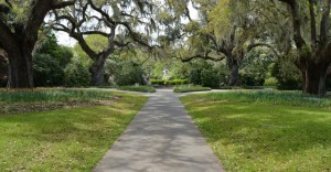 Brookgreen Gardens Attraction