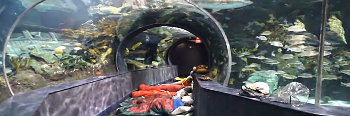Ripkeys Aquarium