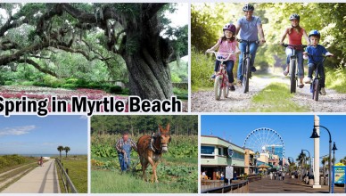 Great Spring Activities