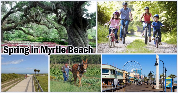 Best Places To Enjoy Spring In Myrtle Beach