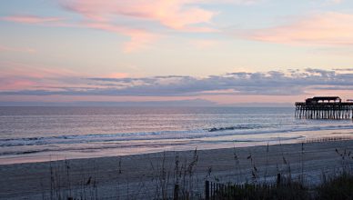 Top 5 Things To Enjoy At Myrtle Beach State Park
